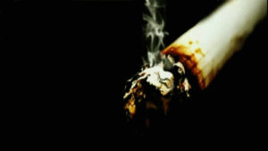 cigarette,cigar,smoke