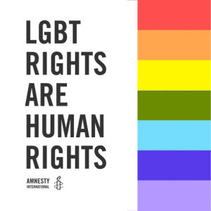 lgbt,human rights,amnesty international,pride,lgbt rights,pride month,pride week