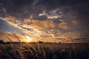 sunset,clouds,sky,summer,nature,countryside,artists on tumblr,rural,england,time lapse,photographers on tumblr,photography,uk,featured,original photographers,lensblr,canon eos 70d,cambridgeshire