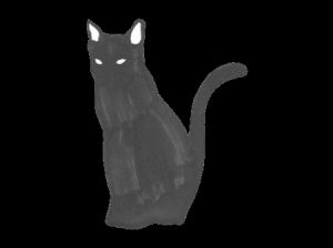 cat,halloween,tail,black cat