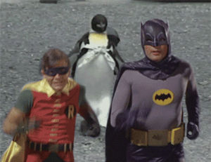 robin,pinguin,animals,lol,batman,running,run,running away,adam west,60s