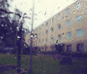 rainfall,rainy,window,commericial