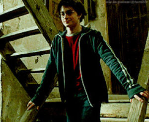 hermione,harry potter,harry,poa