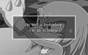 sonic,sonic the hedgehog,shadow the hedgehog,sonic x,knuckles the echidna,which is why i fell in love with sonic heroes