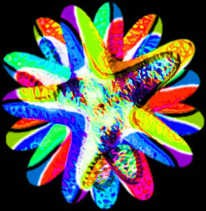 psycheledic,rainbow illusion,art,love,trippy,psychedelic,rainbow,center,starfish,whao,trippyloop