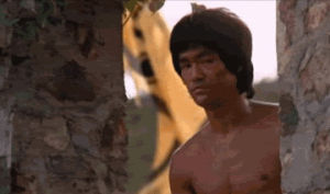 Bruce lee nunchaku ping pong GIF em GIFER - de Kigale