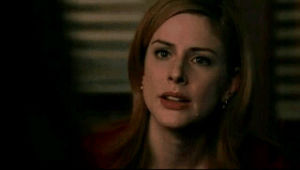 diane neal,casey novak,season 6,law and order svu,stephanie march,episode ghost,annette otoole