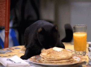 pancakes,black cat,sabrina the teenage witch,salem,food