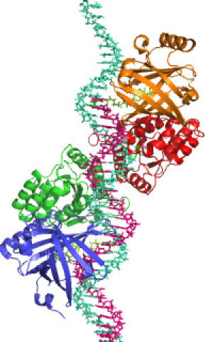 Ген белок фермент. Ферменты без фона. Ферменты анимация. Молекула фермента. Структура белков гиф.