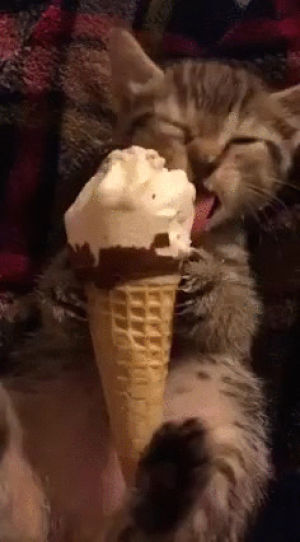 cat,ice,cream