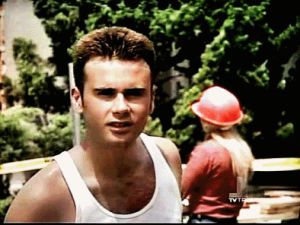 beverly hills 90210,ray pruit,barrados no baile,jamie walters