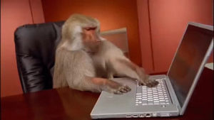 monkey,technology,frustrates
