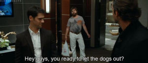 the hangover,movie,funny,bradley cooper,phil,doug,alan,let the dogs out