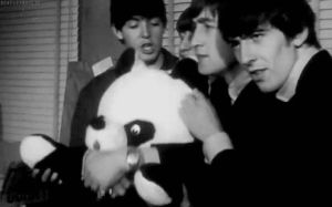 the beatles,paul mccartney,john lennon,adorable,hug,panda,ringo starr