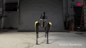 boston dynamics,dancing,robot dance,spot,dance,robot,robotics,robot dog