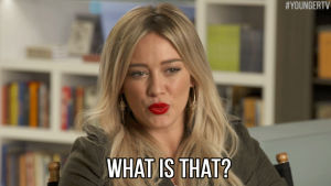 hilary duff,tv land,wtf,what,younger,youngertv,what is that
