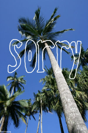 sorry,word,animation,home video,graphics,graphic,words,palm trees,palm tree,responses,scribbles