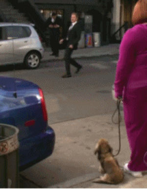 tv,funny,dog,fashion,style,puppy,how i met your mother,himym,clothes,suit,barney