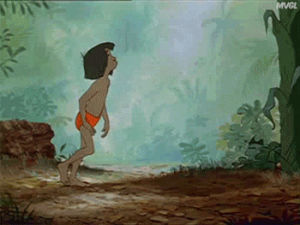 jungle,the jungle book,book,ever,after,upon,happily