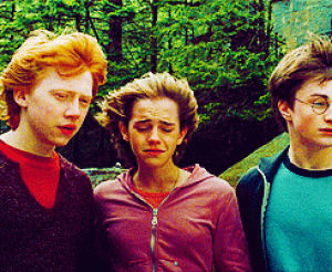 hermione,harry potter,harry,ron,poa