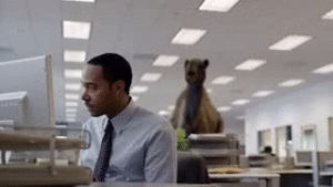humpday,brokengifs,camel,animals,day,office,mike,hump