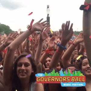 crowd,audience,concert,festival,governors ball,govball nyc,matt and kim,side to side,wave your hands