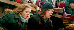 hermione granger,rupert grint,harry potter,ron weasley,emma watson