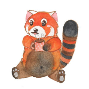 Workout Cute Red Panda Gif On Gifer By Brightfang