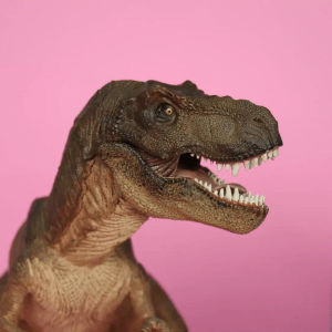 t rex,dinosaur,hey violet,dancing,music video,chomp,tyrannosaurus rex,brand new moves