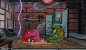 splinter,tmnt,90s,cartoon,cartoons,teenage mutant ninja turtles,leonardo,ninja turtles,meditation