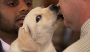 parks and recreation,ron swanson,puppies,ron