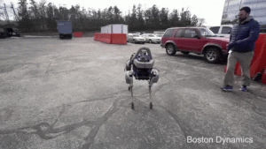 dog,robot,spot