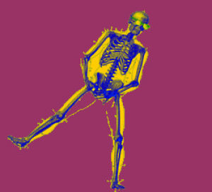 skeleton,protection,skeletons,flashy,transparent,happy,dancing