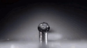 water,drop,ant,thats