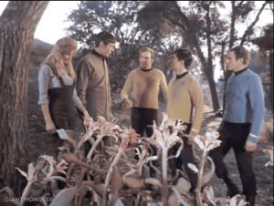 spores,plant,wtf,star trek,alien,spock,kirk,confetti,sulu,this side of paradise,did somebody say spores