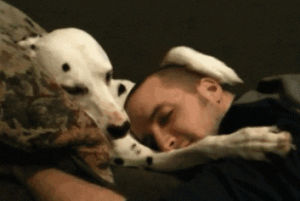 reaction,dog,animals,adorable,rubs human,for fun