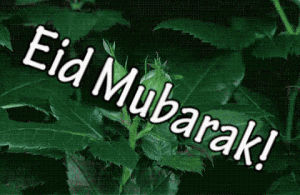 eid mubarak,eid al fitr,happy eid