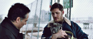 dogs,tom hardy,films,puppies,the drop,animal lovers