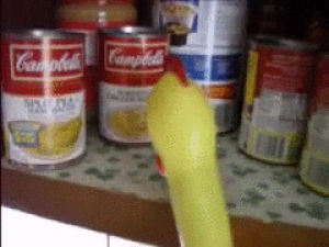 GIF mrw lots updoots - animated GIF on GIFER