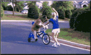 dog,wtf,win,bike,riding