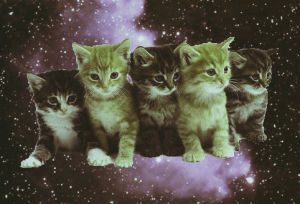 galaxy,love,cat,space,life,kitten,adorable,indie,stars,hipster,awee