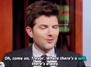 parks and recreation,parks and rec,ben wyatt,puns,pun,mineparks,gin it up
