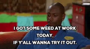 dave chappelle,half baked,weed