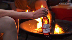 beer,drinking,bonfire,summer,america,booze,campfire,budweiser