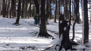 tree,mountain,xpost,biker,stump