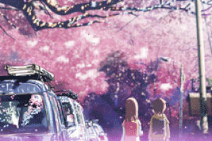 sakura,makoto shinkai,flowers,boy and girl,anime love,anime sakura,5 cm per second,anime,love,cute,akari,5 cmps