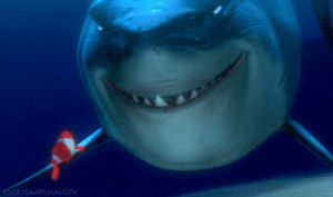 shark,clown fish,finding nemo,ocean,dory,nemo,bruce,funny movie
