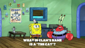 kenny the cat,spongebob squarepants,season 9,episode 10