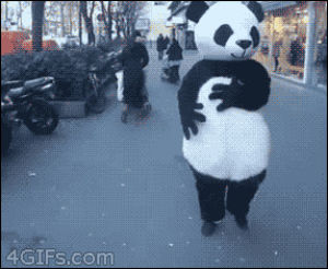 pandas,pandawhale,sitepandawhalecom