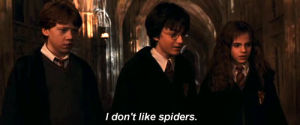 ron weasley,harry potter,hermione granger,spiders,hermoine granger